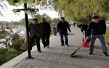 向祖國獻禮，志愿活動在行動