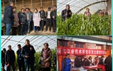 現(xiàn)代農(nóng)業(yè)技術(shù)系開展“喜迎己亥新春佳節(jié)、送科技送文化下鄉(xiāng)”主題黨日活動