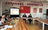 電子信息工程系黨總支開展“重溫入黨誓詞，牢記入黨初心”主題黨日活動(dòng)